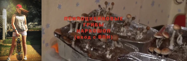 амфетамин Ладушкин