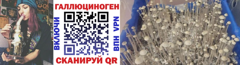 Псилоцибиновые грибы ЛСД Искитим