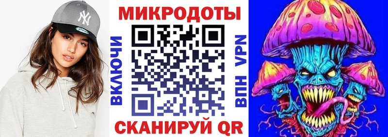 Псилоцибиновые грибы Psilocybe  Искитим 
