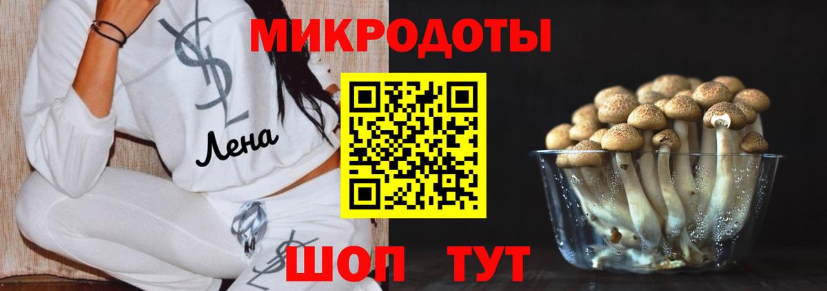 Искитим  Псилоцибиновые грибы Magic Shrooms  Вход с VPN  Галлюциногенные грибы GOLDEN TEACHER 