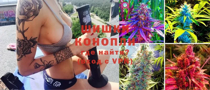 Марихуана OG Kush  Искитим 